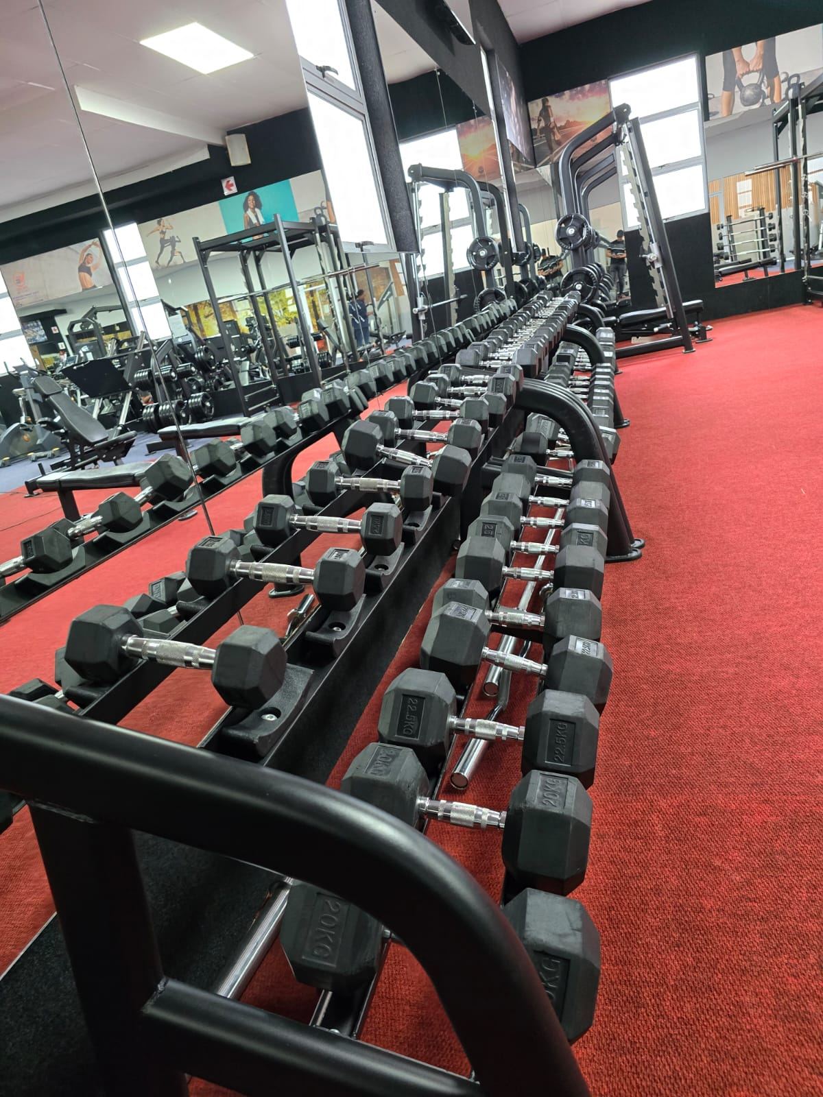Rows of dumbbells on the rack