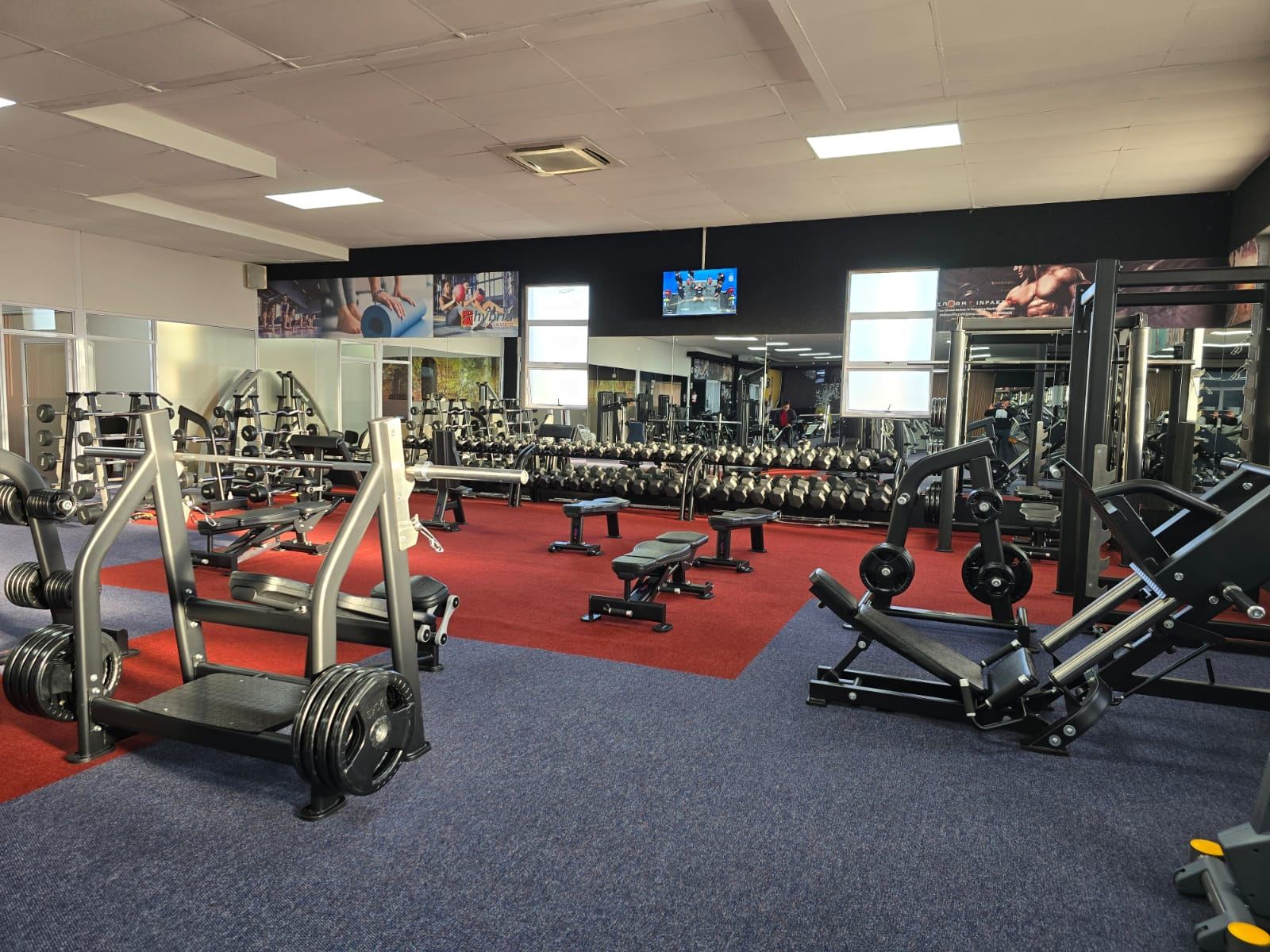 Free-weight area with benches, plates and racks