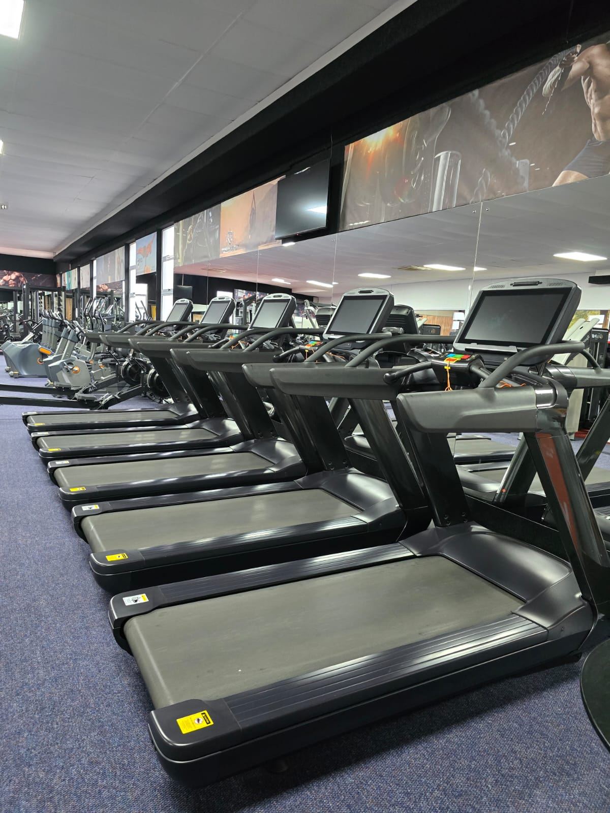 Row of treadmills